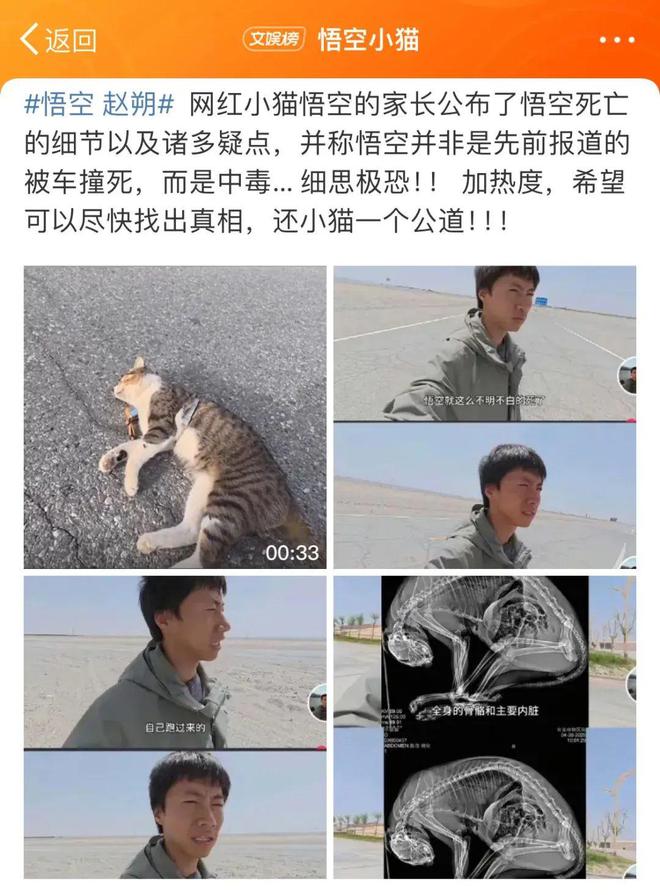 世：主人赵朔公开去世细节可能死于投毒！pg电子模拟器试玩网红小猫“悟空”去(图7)
