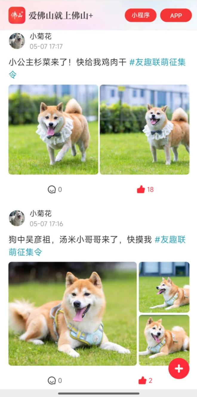 在！友趣会宠物交友墙火热招募中pg电子免费模拟器萌宠出道就现(图2)