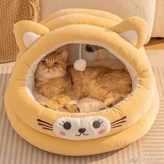 从代工到自主品牌年营收超过50亿元电子pg山东聊城诞生的宠物巨头：(图3)